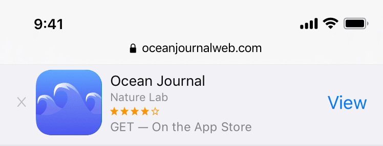 App Store Smart App Banner example